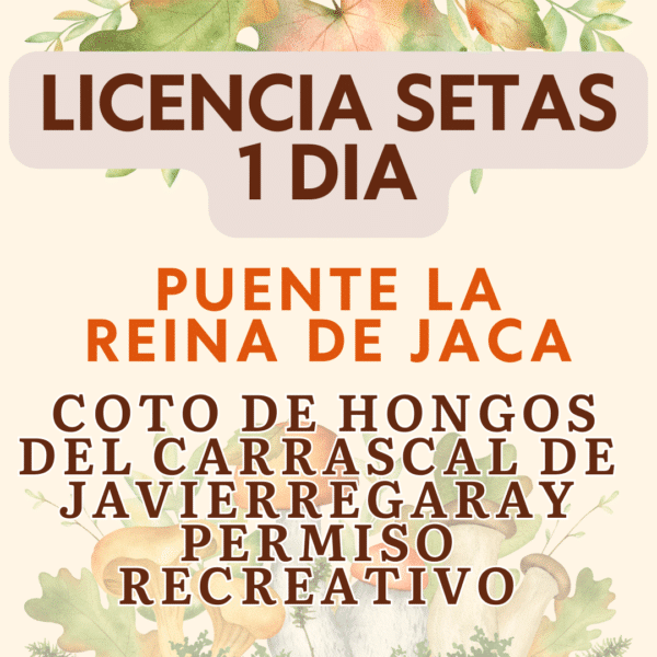 Permiso Recogida de Setas RECREATIVO 1 DIA