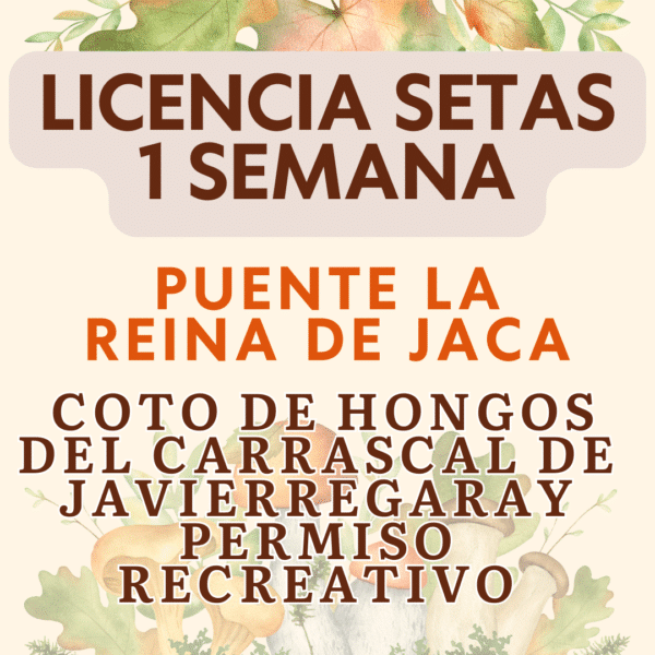 Permiso Recogida de Setas RECREATIVO 1 SEMANA (7 DIAS)