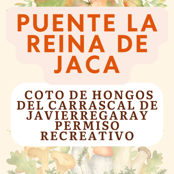 Ayuntamiento Puente la Reina de Jaca, Coto de Hongos, Carrascal de Javierregay, Licencia de recogida de setas, Puente la Reina de Jaca, Huesca, Pirineo Aragonés, Zona de Aprovechamiento Micológico, Recogida de setas, Setas en Huesca, Turismo micológico, Actividades en la naturaleza, Turismo rural, Espacios naturales protegidos, Biodiversidad de Huesca, Senderismo y micología, Cultura local de Jaca, Tradiciones aragonesas, Conservación de bosques, Ecoturismo en Aragón